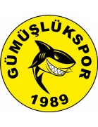 GÜMÜŞLÜK GENÇLİKSPOR